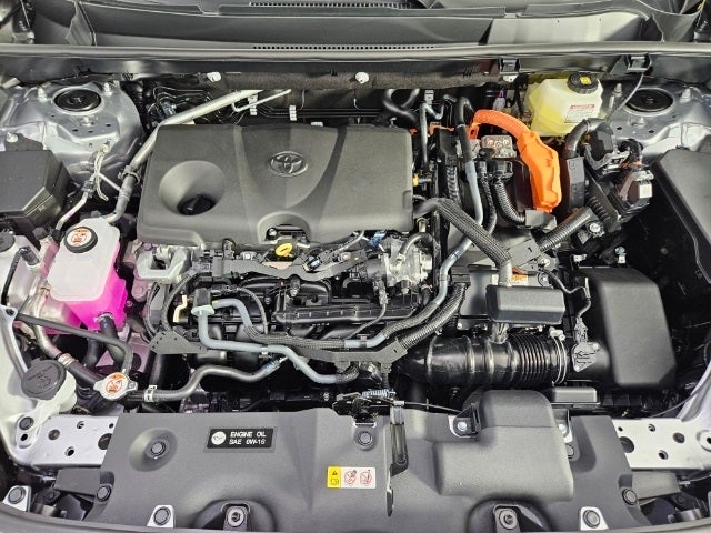 2024 Toyota RAV4 LE 4D Sport Utility